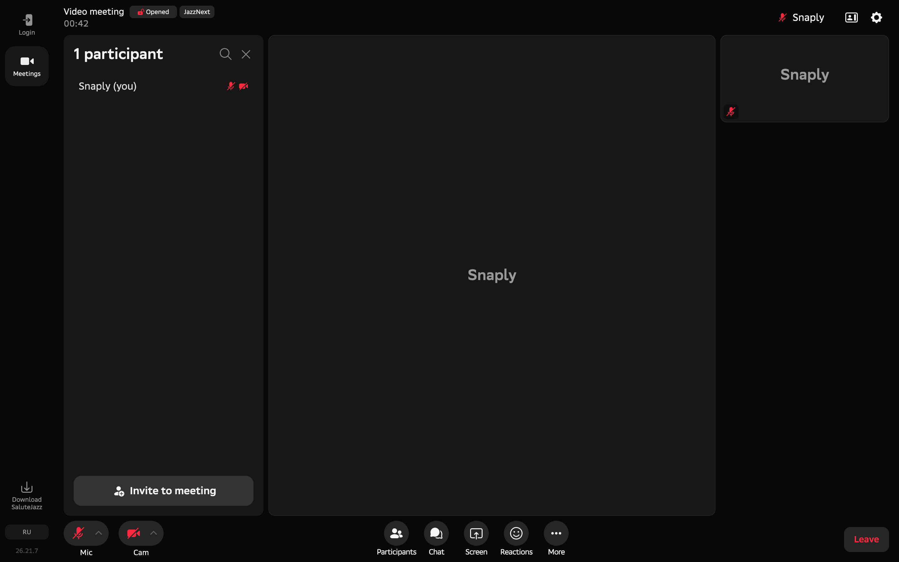Salute Jazz — call-one-participant screenshot